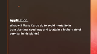 z
Application
What will Mang Cardo do to avoid mortality in
transplanting, seedlings and to attain a higher rate of
survival in his plants?
 