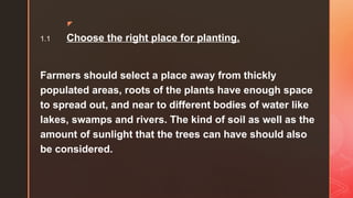 z
1.1 Choose the right place for planting.
Farmers should select a place away from thickly
populated areas, roots of the plants have enough space
to spread out, and near to different bodies of water like
lakes, swamps and rivers. The kind of soil as well as the
amount of sunlight that the trees can have should also
be considered.
 