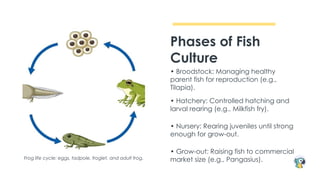 TLE-8Q2W2-FISHCULTURE.POERPOINT PRESENTATION | PPTX