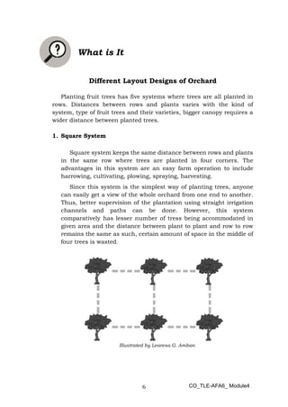 TLE AFA6 mod4 Preparing Layout Design for Orchard Garden pdf TLE AFA6 mod4 Preparing Layout Design for Orchard Garden pdf