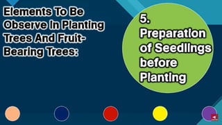 TLE-AGRI.pptx lesson quarter 1 in epp six