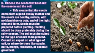 TLE-AGRI.pptx lesson quarter 1 in epp six