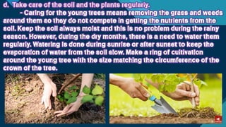 TLE-AGRI.pptx lesson quarter 1 in epp six