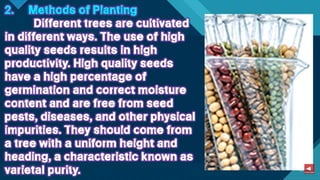 TLE-AGRI.pptx lesson quarter 1 in epp six