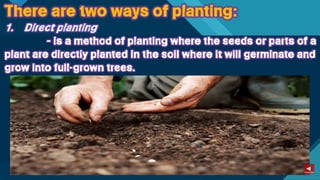 TLE-AGRI.pptx lesson quarter 1 in epp six