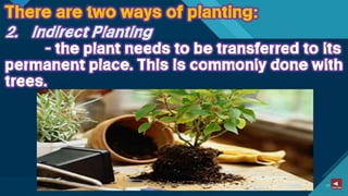 TLE-AGRI.pptx lesson quarter 1 in epp six