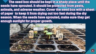 TLE-AGRI.pptx lesson quarter 1 in epp six