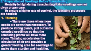 TLE-AGRI.pptx lesson quarter 1 in epp six