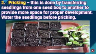 TLE-AGRI.pptx lesson quarter 1 in epp six