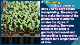 TLE-AGRI.pptx lesson quarter 1 in epp six