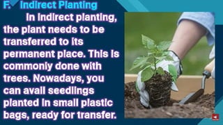 TLE-AGRI.pptx lesson quarter 1 in epp six