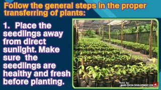 TLE-AGRI.pptx lesson quarter 1 in epp six