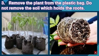 TLE-AGRI.pptx lesson quarter 1 in epp six