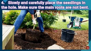 TLE-AGRI.pptx lesson quarter 1 in epp six