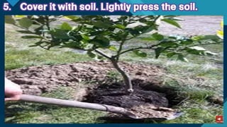 TLE-AGRI.pptx lesson quarter 1 in epp six