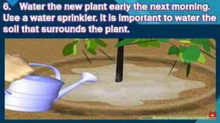 TLE-AGRI.pptx lesson quarter 1 in epp six