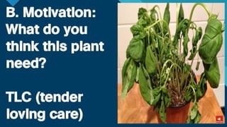 TLE-AGRI.pptx lesson quarter 1 in epp six