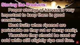 TLE-AGRI.pptx lesson quarter 1 in epp six