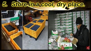 TLE-AGRI.pptx lesson quarter 1 in epp six