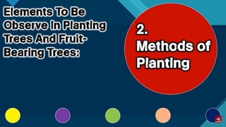 TLE-AGRI.pptx lesson quarter 1 in epp six