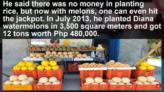 TLE-AGRI.pptx lesson quarter 1 in epp six