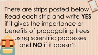There are strips posted below.
Read each strip and write YES
if it gives the importance or
benefits of propagating trees
using scientific processes
and NO if it doesn’t.
 