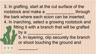 3. In grafting, start at the cut surface of the
rootstock and make a ____________ through
the bark where each scion can be inserted.
4. In inarching, select a growing rootstock and
fitting it with a branch that will be grafted
by a ______________.
5. In layering, clip securely the branch
or shoot touching the ground and
________.
 