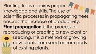Planting trees requires proper
knowledge and skills. The use of
scientific processes in propagating trees
ensures the increase of productivity.
Plant propagation is the process of
reproducing or creating a new plant or
seedling. It is a method of growing
new plants from seed or from parts
of existing plants.
 