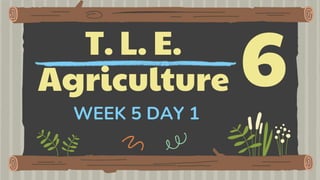 T. L. E.
Agriculture
WEEK 5 DAY 1
 