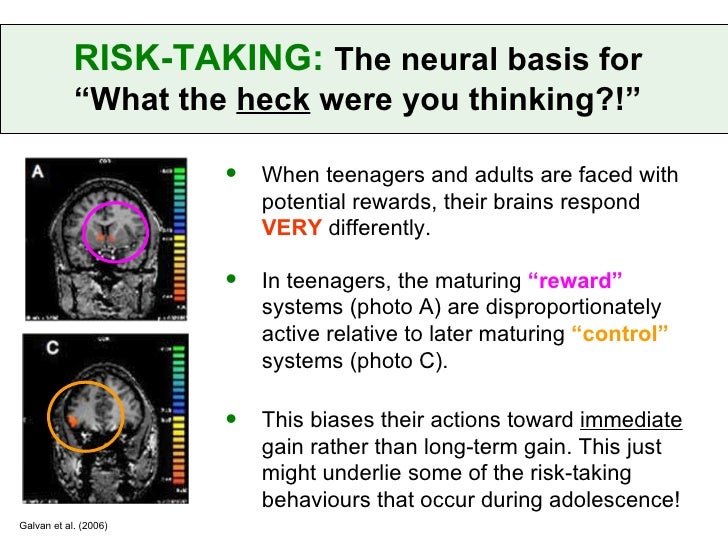 Why Risk Taking Behavior Increases >> Risk Taking What Do We Do Why Risk Taking Behavior Increases >> Risk Taking What Do We Do