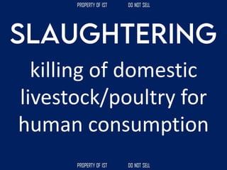 killing of domestic
livestock/poultry for
human consumption
 