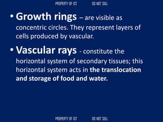 • Growth rings – are visible as
concentric circles. They represent layers of
cells produced by vascular.
• Vascular rays - constitute the
horizontal system of secondary tissues; this
horizontal system acts in the translocation
and storage of food and water.
 