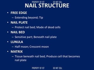 NAIL STRUCTURE
• FREE EDGE
– Extending beyond; Tip
• NAIL PLATE
– Protect nail bed; Made of dead cells
• NAIL BED
– Sensitive part; Beneath nail plate
• LUNULA
– Half moon; Crescent moon
• MATRIX
– Tissue beneath nail bed; Produce cell that becomes
nail plate
 