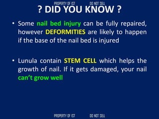 ? DID YOU KNOW ?
• Some nail bed injury can be fully repaired,
however DEFORMITIES are likely to happen
if the base of the nail bed is injured
• Lunula contain STEM CELL which helps the
growth of nail. If it gets damaged, your nail
can’t grow well
 