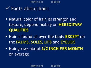 ✓ Facts about hair:
• Natural color of hair, its strength and
texture, depend mainly on HEREDITARY
QUALITIES
• Hair is found all over the body EXCEPT on
the PALMS, SOLES, LIPS and EYELIDS
• Hair grows about 1/2 INCH PER MONTH
on average
 