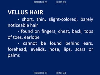 VELLUS HAIR
- short, thin, slight-colored, barely
noticeable hair
- found on fingers, chest, back, tops
of toes, earlobe
- cannot be found behind ears,
forehead, eyelids, nose, lips, scars or
palms
 