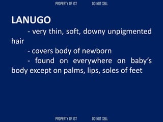 LANUGO
- very thin, soft, downy unpigmented
hair
- covers body of newborn
- found on everywhere on baby’s
body except on palms, lips, soles of feet
 