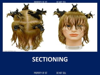 SECTIONING
 