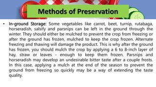 Methods of Preservation
• In-ground Storage: Some vegetables like carrot, beet, turnip, rutabaga,
horseradish, salsify and parsnips can be left in the ground through the
winter. They should either be mulched to prevent the crop from freezing or
after the ground has frozen, mulched to keep the crop frozen. Alternate
freezing and thawing will damage the product. This is why after the ground
has frozen, you should mulch the crop by applying a 6 to 8-inch layer of
hay, straw or leaves - enough to keep them frozen. Parsnips and
horseradish may develop an undesirable bitter taste after a couple frosts.
In this case, applying a mulch at the end of the season to prevent the
ground from freezing so quickly may be a way of extending the taste
quality.
 