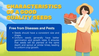 CHARACTERISTICS
CHARACTERISTICS
CHARACTERISTICS
OF A GOOD
OF A GOOD
OF A GOOD
QUALITY SEEDS
QUALITY SEEDS
QUALITY SEEDS
Free from Diseases and Pests
Seeds should have a consistent size and
shape.
Uniform seeds generally have better
germination and growth rates. It ensures
that seeds will be planted at the same
depth and sprout at similar times, leading
to uniform crop growth.
 