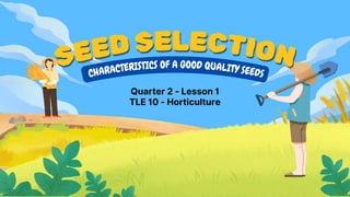 SEED SELECTION
SEED SELECTION
SEED SELECTION
CHARACTERISTICS OF A GOOD QUALITY SEEDS
Quarter 2 - Lesson 1
TLE 10 - Horticulture
 