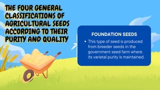 THE FOUR GENERAL
THE FOUR GENERAL
THE FOUR GENERAL
CLASSIFICATIONS OF
CLASSIFICATIONS OF
CLASSIFICATIONS OF
AGRICULTURAL SEEDS
AGRICULTURAL SEEDS
AGRICULTURAL SEEDS
ACCORDING TO THEIR
ACCORDING TO THEIR
ACCORDING TO THEIR
PURITY AND QUALITY
PURITY AND QUALITY
PURITY AND QUALITY
FOUNDATION SEEDS
This type of seed is produced
from breeder seeds in the
government seed farm where
its varietal purity is maintained.
 