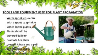 TLE 6 - AGRICULTURE Tools and Equipment for Plant Propagation.pptx