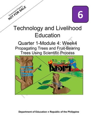1
Technology and Livelihood
Education
Quarter 1-Module 4: Week4
Propagating Trees and Fruit-Bearing
Trees Using Scientific Process
Department of Education ● Republic of the Philippine
6
 