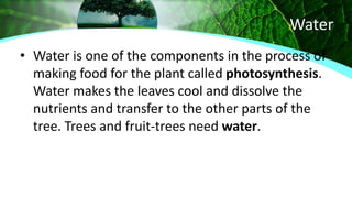 Water
• Water is one of the components in the process of
making food for the plant called photosynthesis.
Water makes the leaves cool and dissolve the
nutrients and transfer to the other parts of the
tree. Trees and fruit-trees need water.
 