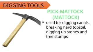 Matick Digging TLE 7 AFA - Career and Business oportunities.pptx