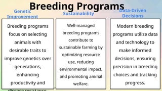 TLE 7 Q2 11 Determining the Breeds of Farm Animals with ActivitiesDONE.pptx