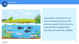 10
Aquaculture and fisheries are
interconnected because both
produce aquatic food resources
instrumental to global food
security and economic stability.
Enlighten
 
