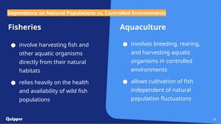 Fisheries
● involve harvesting fish and
other aquatic organisms
directly from their natural
habitats
● relies heavily on the health
and availability of wild fish
populations
Aquaculture
● involves breeding, rearing,
and harvesting aquatic
organisms in controlled
environments
● allows cultivation of fish
independent of natural
population fluctuations
13
Dependence on Natural Populations vs. Controlled Environments
 