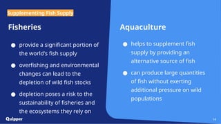 Fisheries
● provide a significant portion of
the world's fish supply
● overfishing and environmental
changes can lead to the
depletion of wild fish stocks
● depletion poses a risk to the
sustainability of fisheries and
the ecosystems they rely on
Aquaculture
● helps to supplement fish
supply by providing an
alternative source of fish
● can produce large quantities
of fish without exerting
additional pressure on wild
populations
14
Supplementing Fish Supply
 